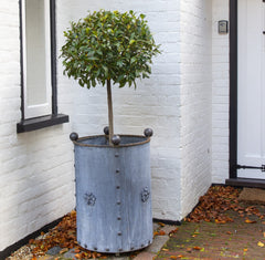 Traditional Georgian Style Handcrafted Round Galvanised Steel Planters with Tudor Rose Decor