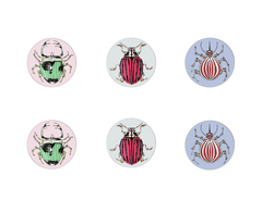 Mixed Set of 6 'Beetle' Pastel Coasters