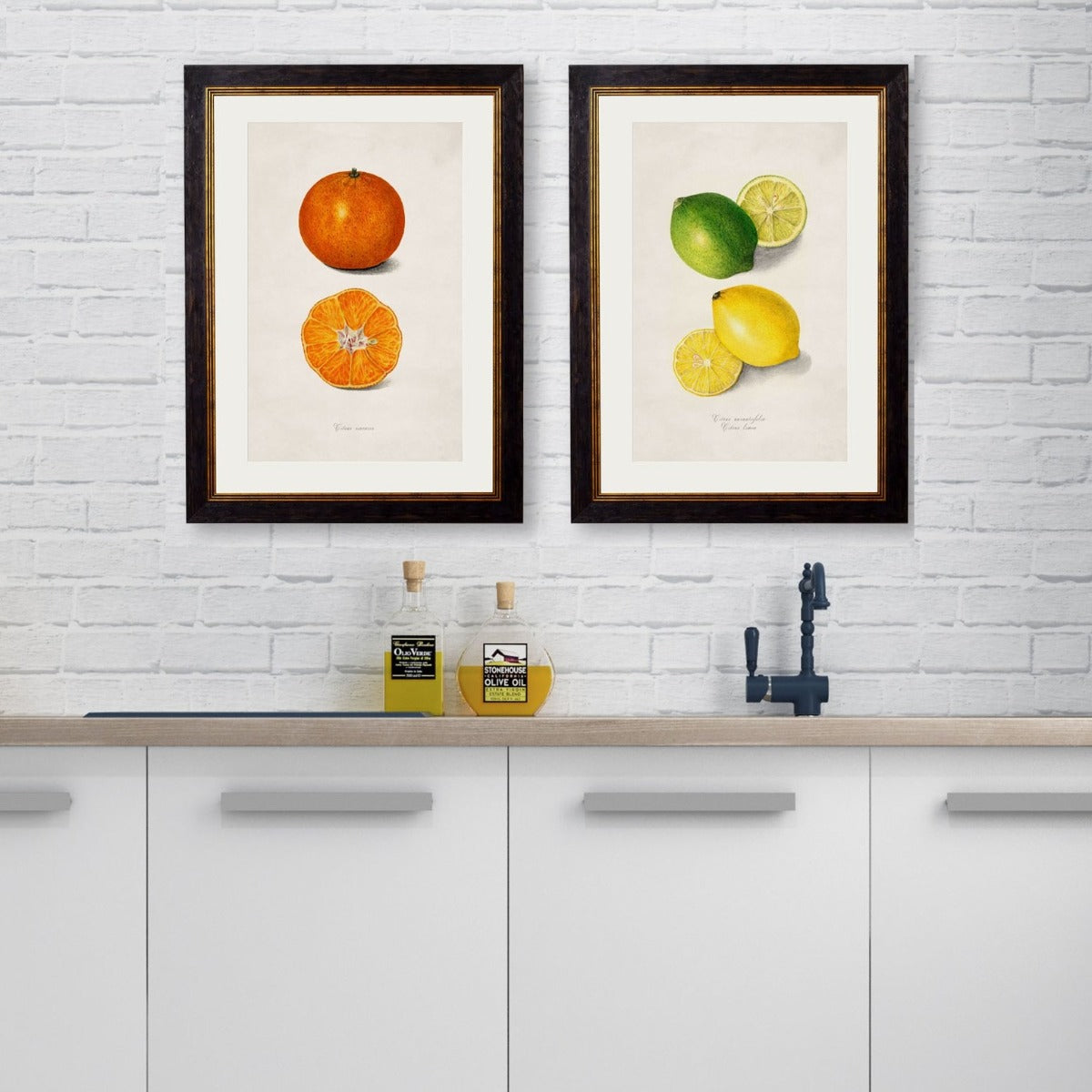 1886 Citrus Fruit Framed Print