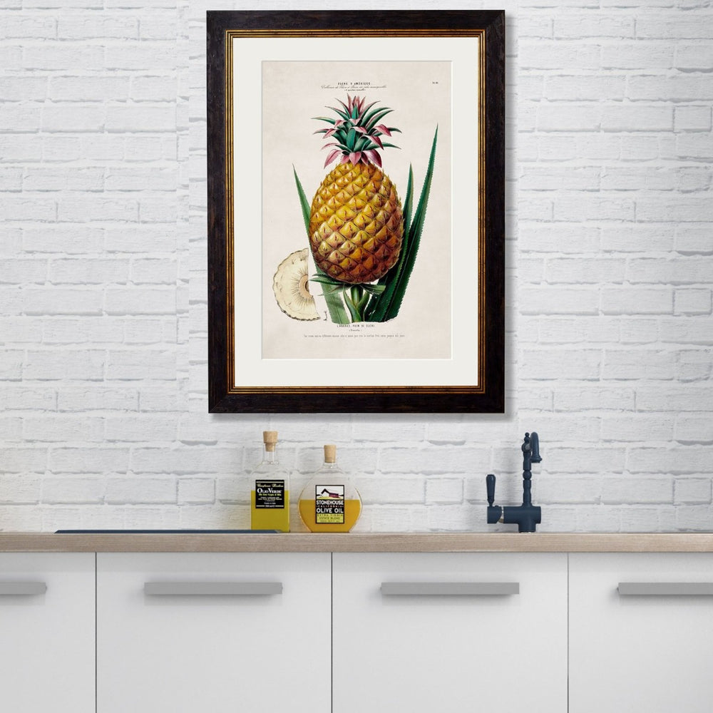 1843 Pineapple Plant Framed Print