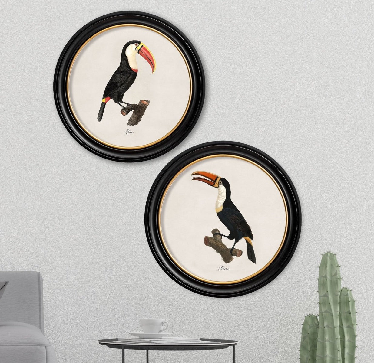 C.1809 Toucan Vintage Prints with Round Frame