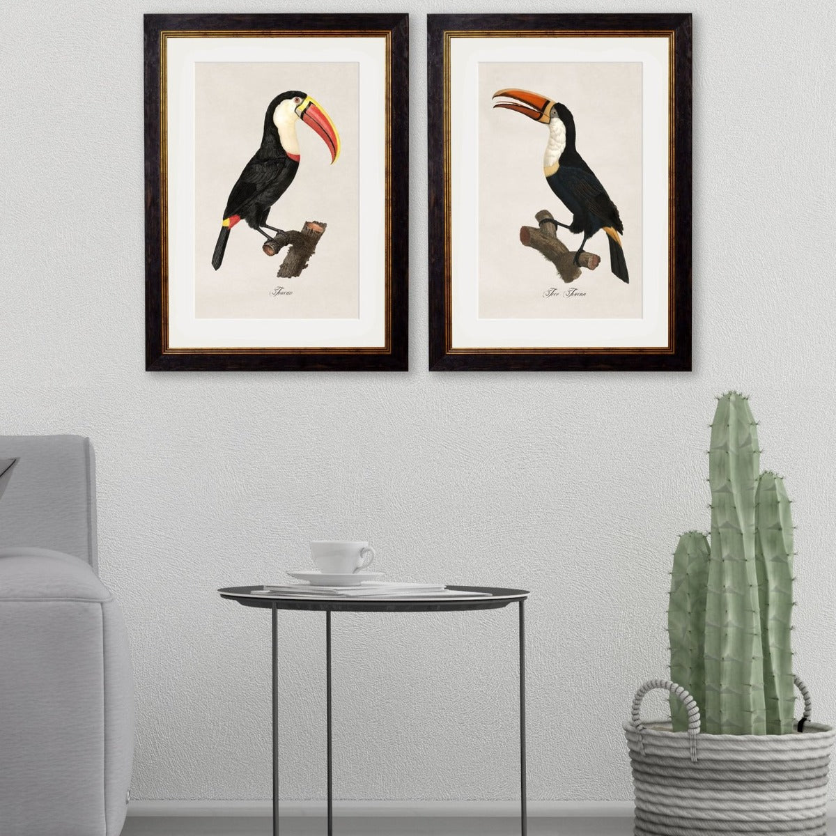 1809 Toucans Framed Print