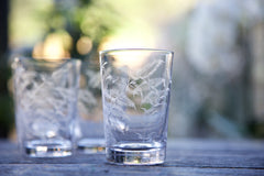 Set of 6 Crystal Tumblers with Fern Design