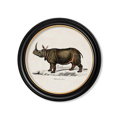 C.1846 Rhino & Hippo Vintage Prints with Round Frame
